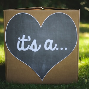 it's a... gender reveal balloon box sign chalkboard printable digital file sibling party