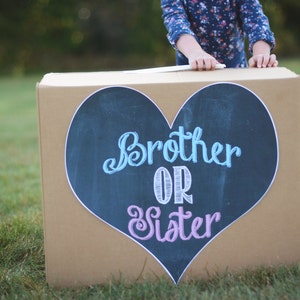May include: A brown cardboard box with a blue and pink heart-shaped chalkboard sign that says "Brother or Sister".