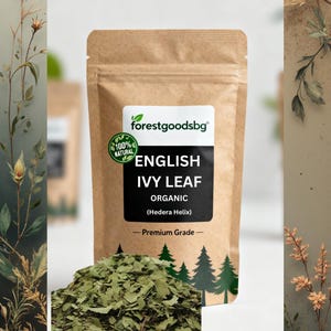 Organiskt engelskt murgrönablad | Hedera Helix | Torkat botaniskt hantverksmaterial | Naturligt färgämne, potpurri och dekorativt bruk | Potpurri