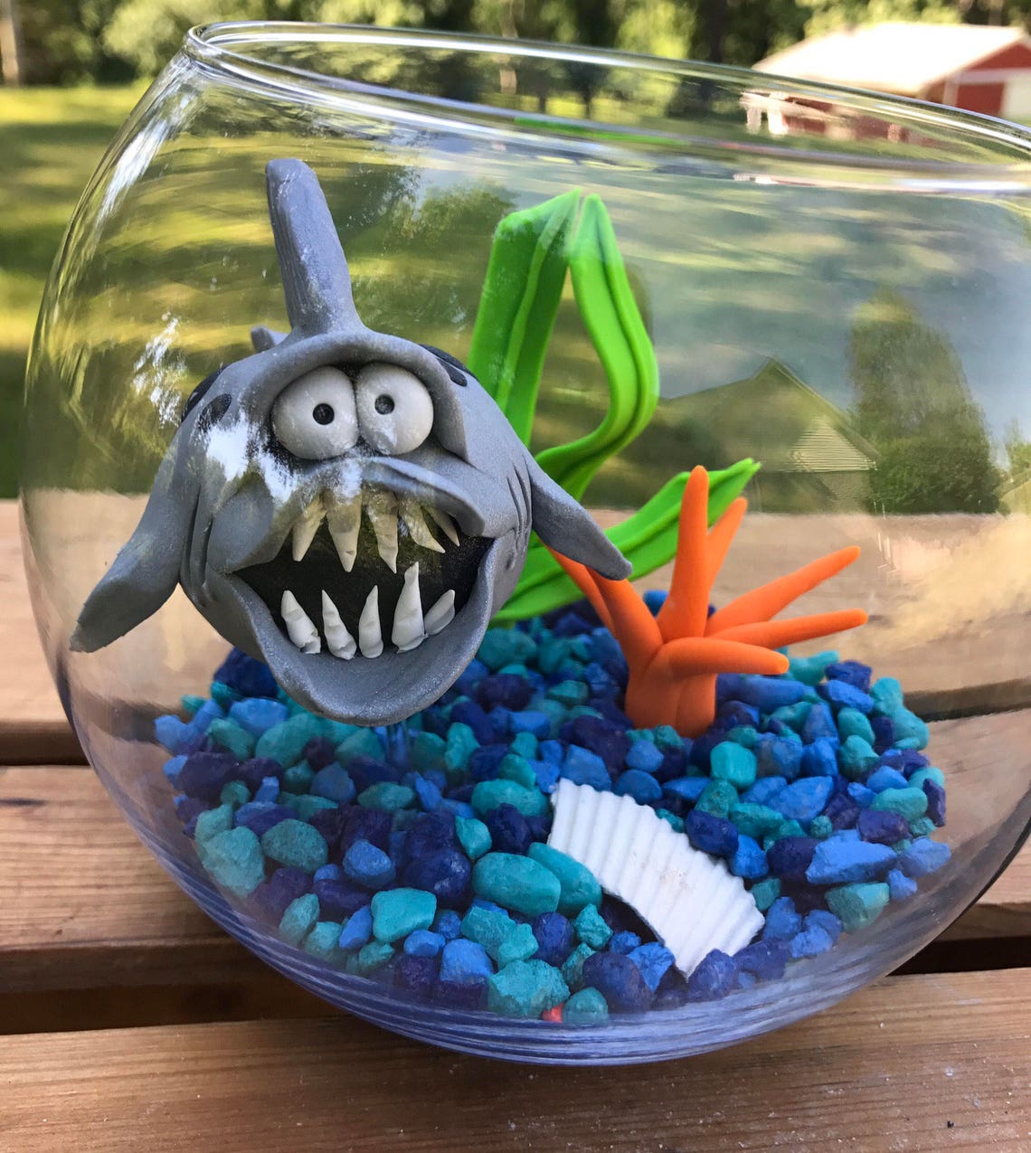 Shark Fish Bowl Shark Tank Shark in Bowl Pet Fish Fish Etsy