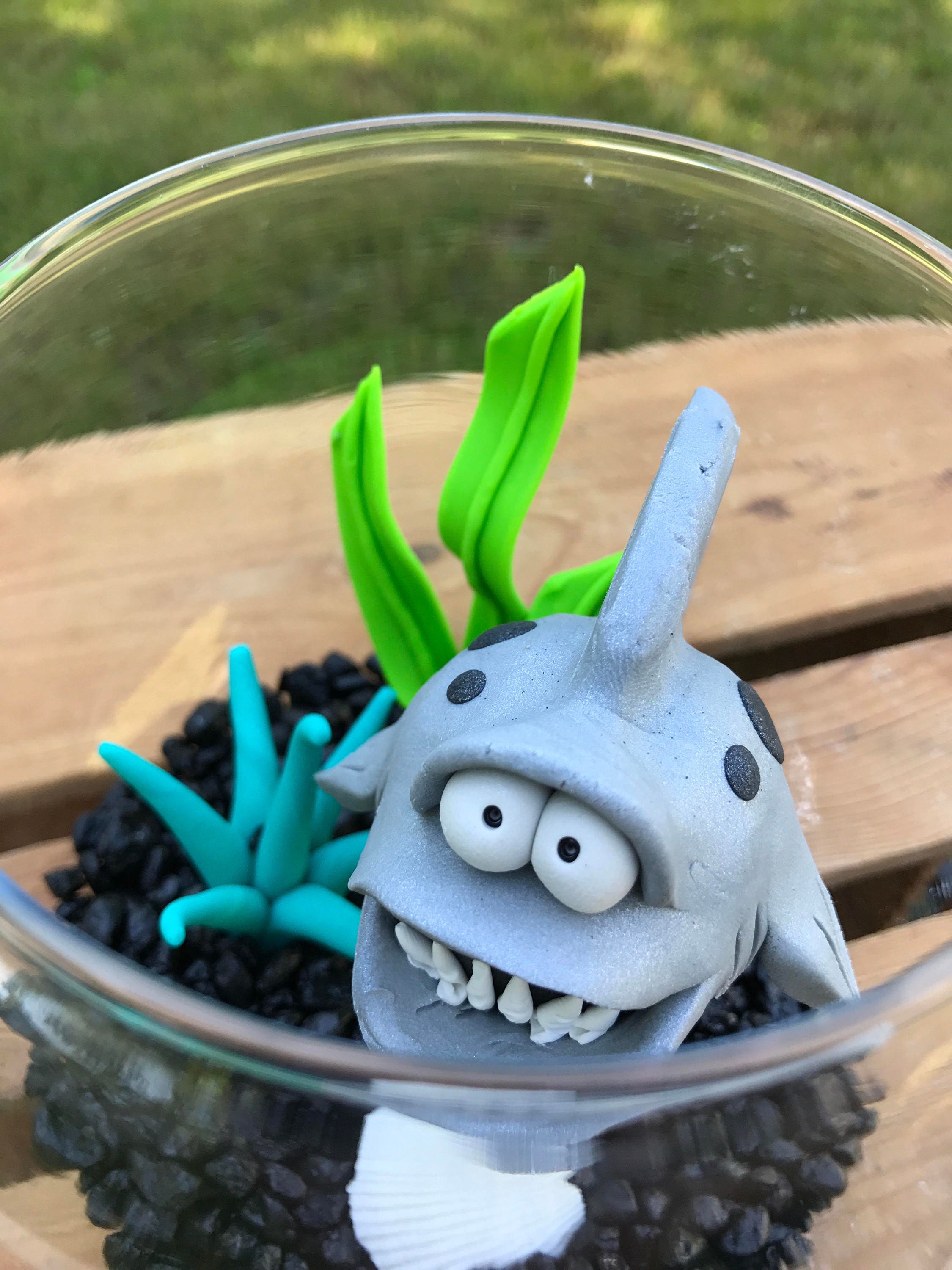 Shark Fish Bowl Shark Tank Shark in Bowl Pet Fish Large Etsy