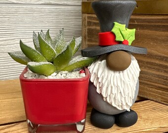 Christmas Gnome with Plant, succulent, gnomes, home decor, Christmas decor, Black gnome