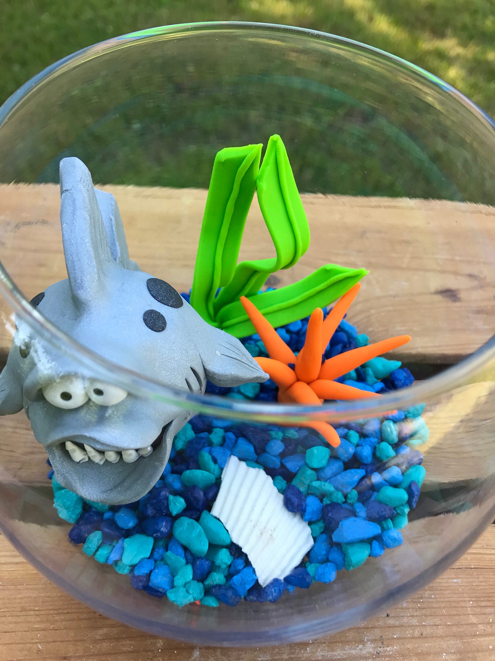 Shark Fish Bowl Shark Tank Shark in Bowl Pet Fish Fish Etsy