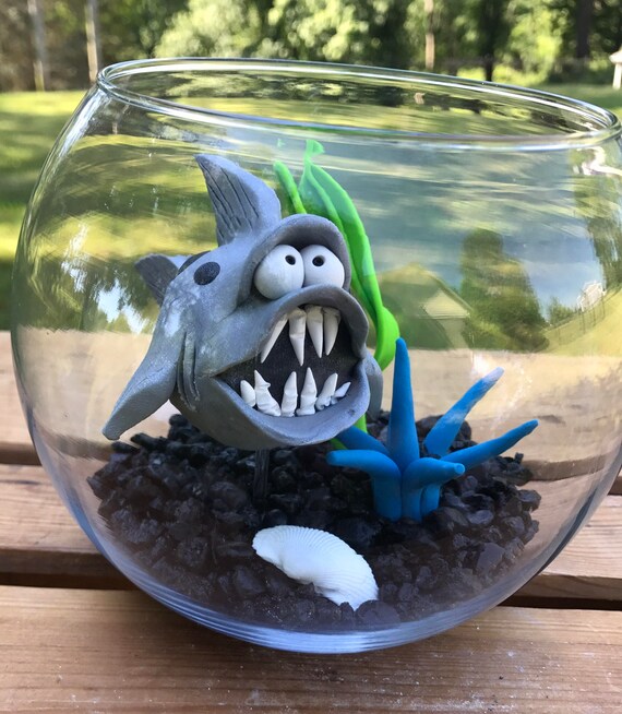 Shark Fish Bowl Shark Tank Shark In Bowl Pet Fish Fish Etsy etsy