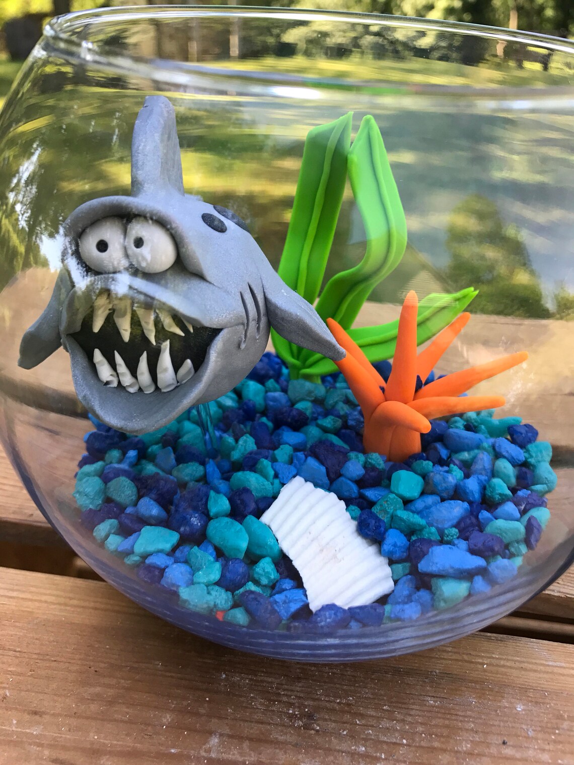 Shark Fish Bowl Shark Tank Shark in Bowl Pet Fish Fish Etsy
