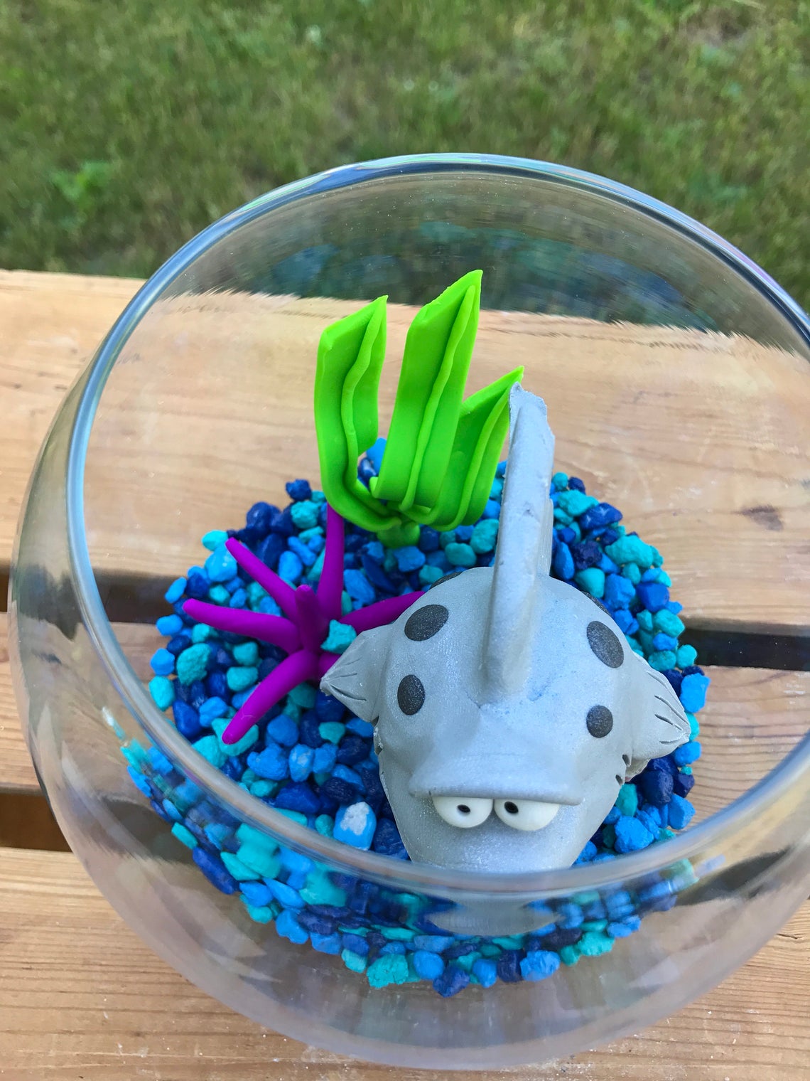 Shark Fish Bowl Shark Tank Shark in Bowl Pet Fish Fish Etsy