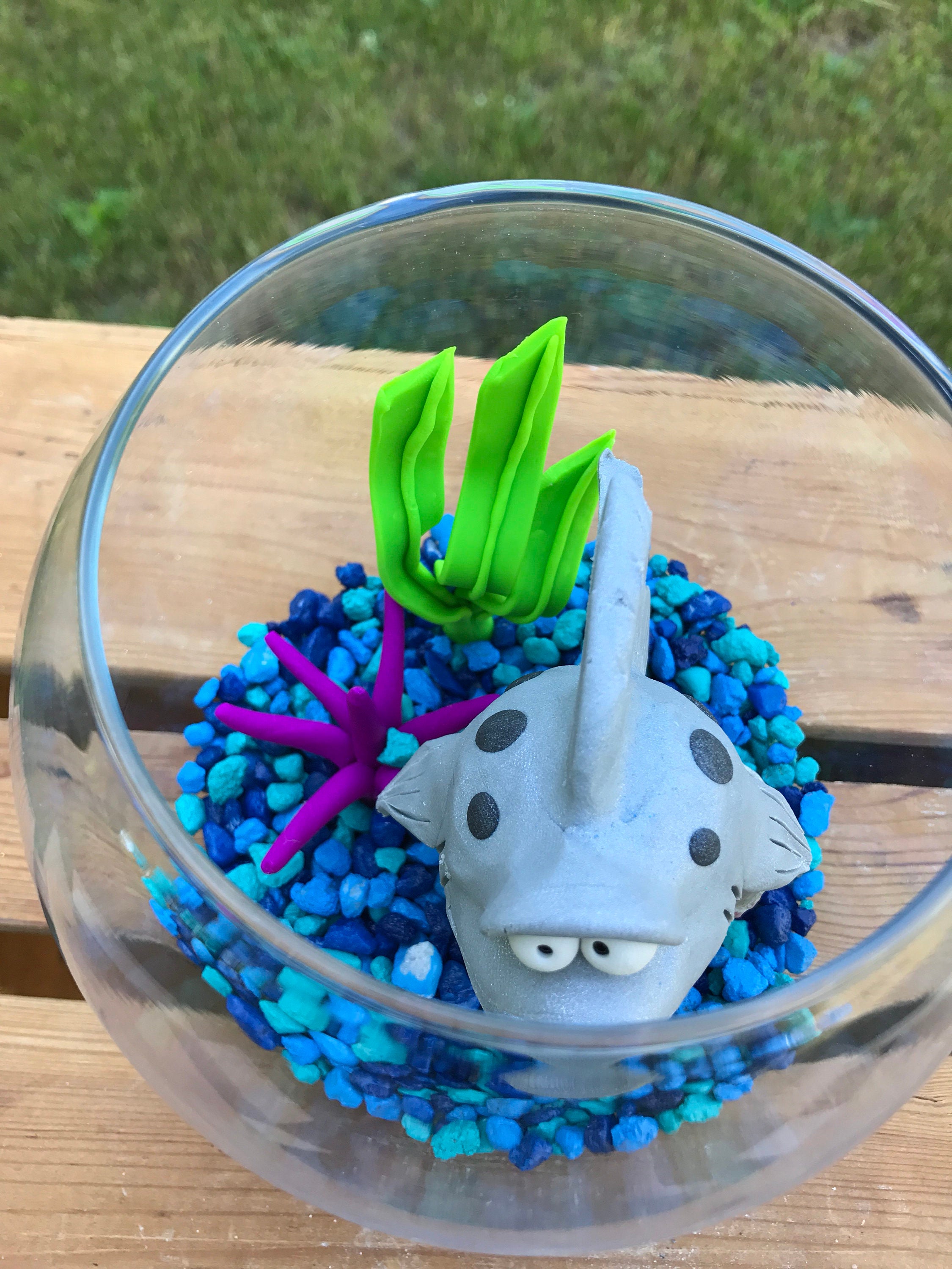 Shark Fish Bowl Shark Tank Shark in Bowl Pet Fish Fish Etsy