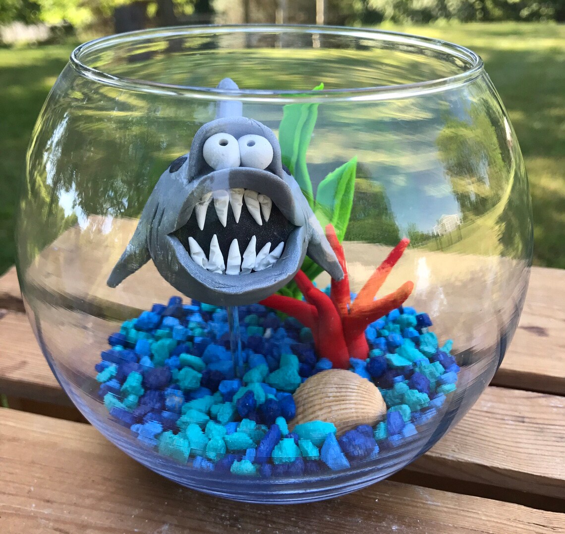 Shark Fish Bowl Shark Tank Shark in Bowl Pet Fish Large Etsy