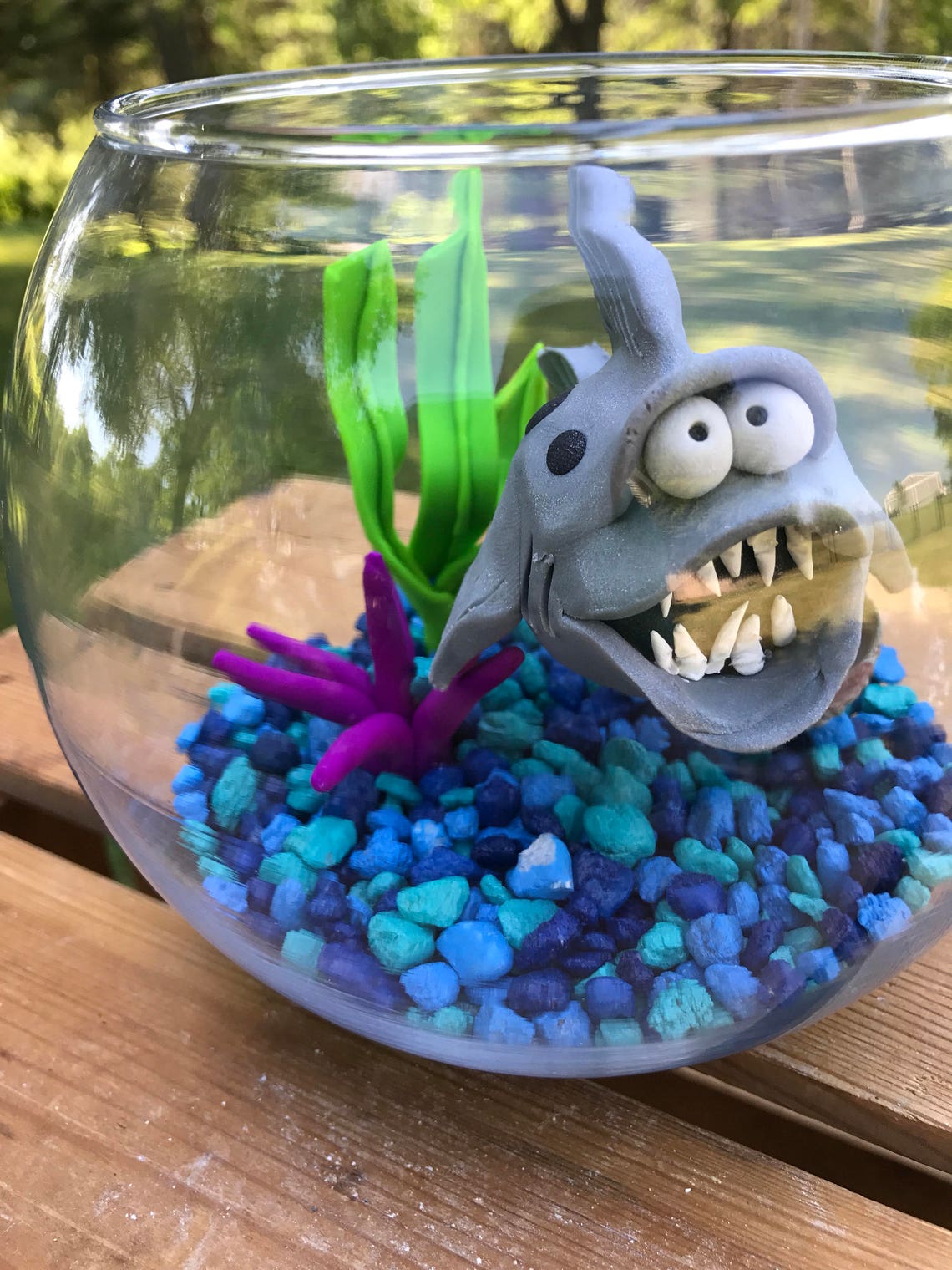 Shark Fish Bowl Shark Tank Shark in Bowl Pet Fish Fish Etsy