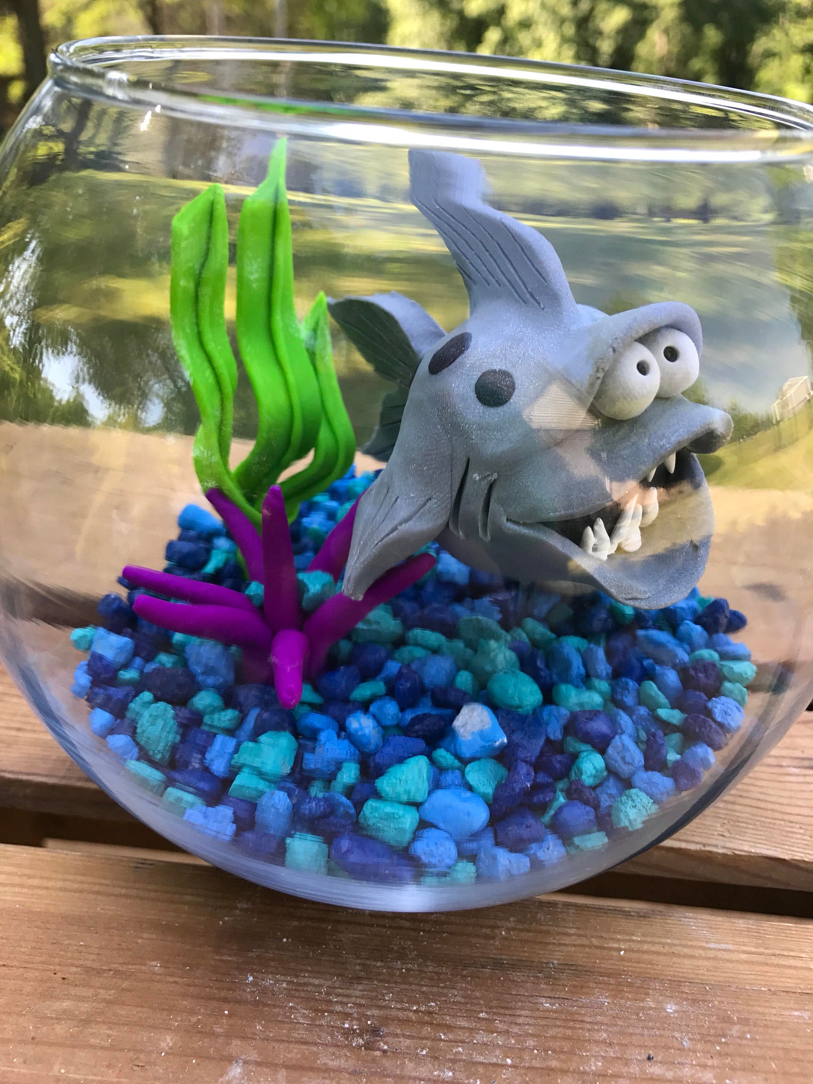 Shark Fish Bowl Shark Tank Shark in Bowl Pet Fish Fish Etsy