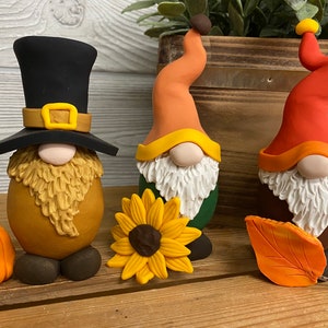 Gnomes,  Fall Gnome, Holiday Gnome, Autumn Gnome, Thanksgiving Gnome, Fall Decor, Thanksgiving, Autumn