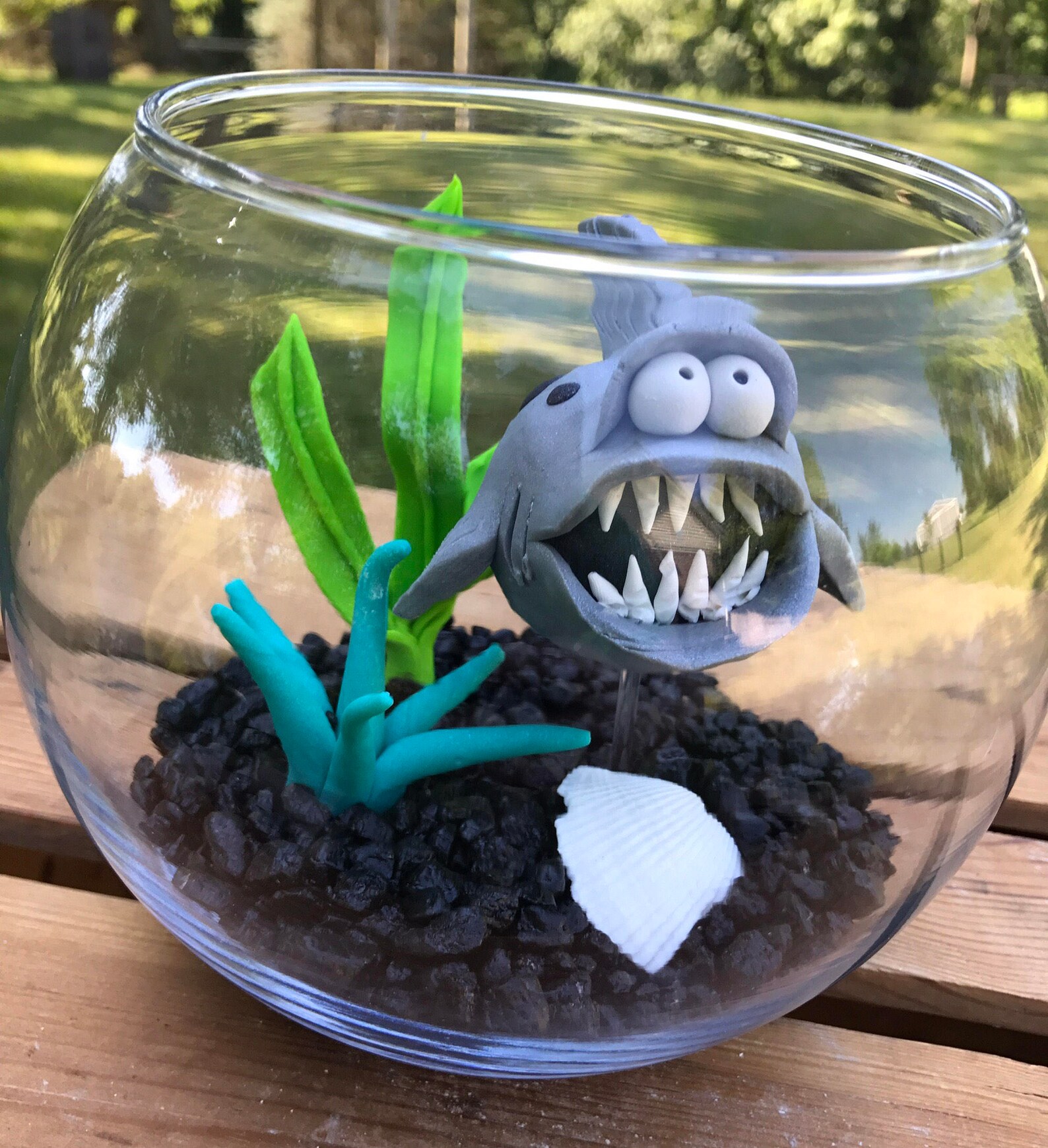 Shark Fish Bowl Shark Tank Shark in Bowl Pet Fish Large Etsy