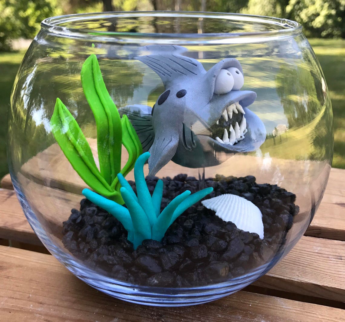 Shark Fish Bowl Shark Tank Shark in Bowl Pet Fish Large Etsy