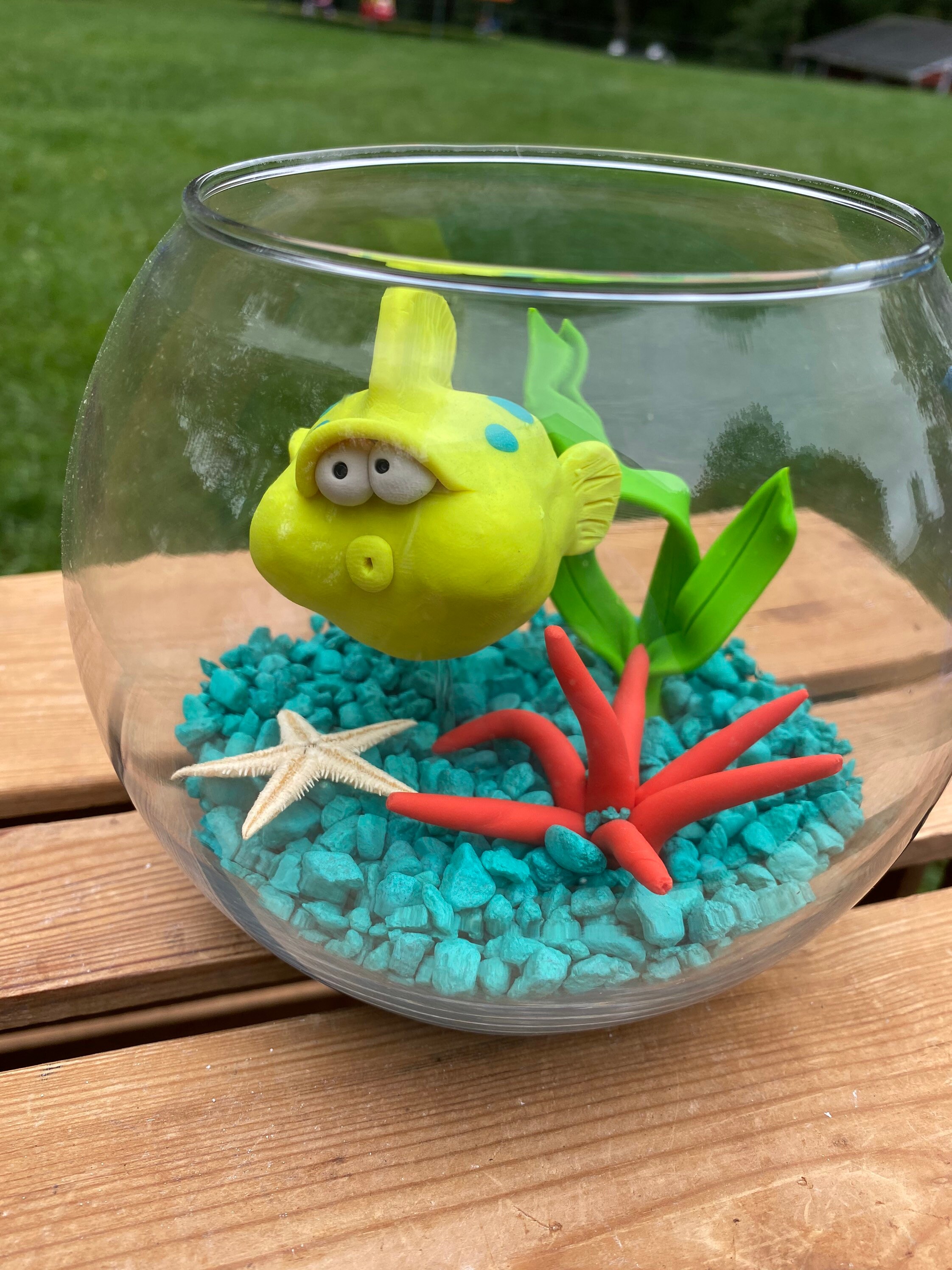 Blow Fish Fish Tank Blow Fish in Tank Aquarium Puffer Etsy