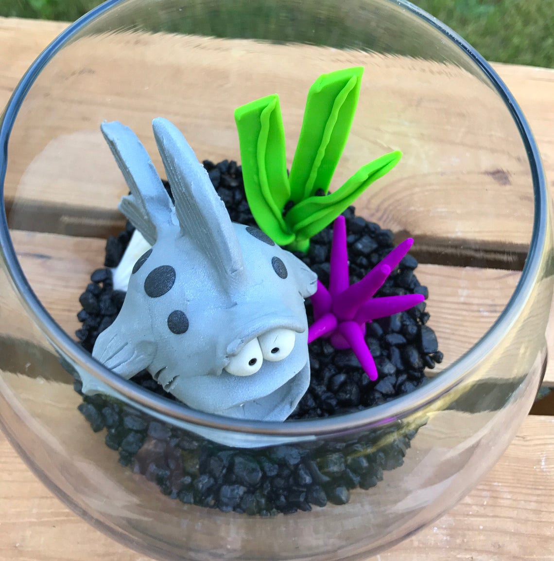 Shark Fish Bowl Shark Tank Shark in Bowl Pet Fish Fish Etsy