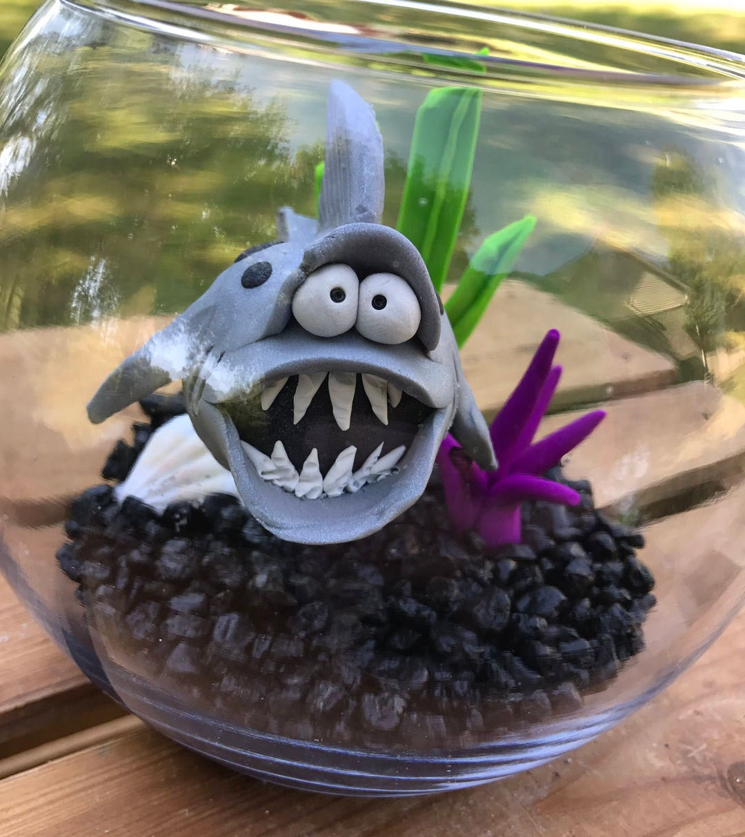 Shark Fish Bowl Shark Tank Shark in Bowl Pet Fish Fish Etsy