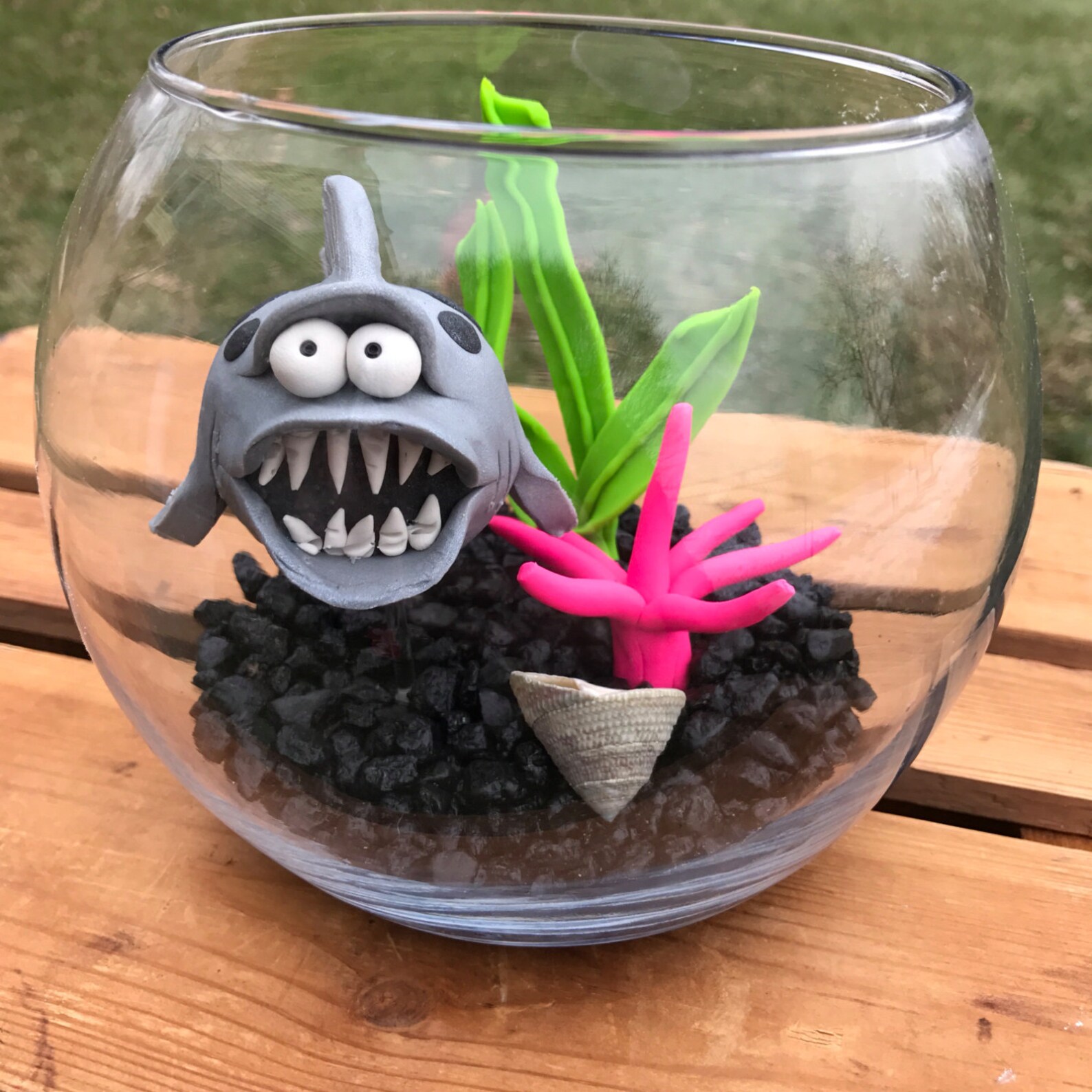 Shark Fish Bowl Shark Tank Shark in Bowl Pet Fish Large Etsy