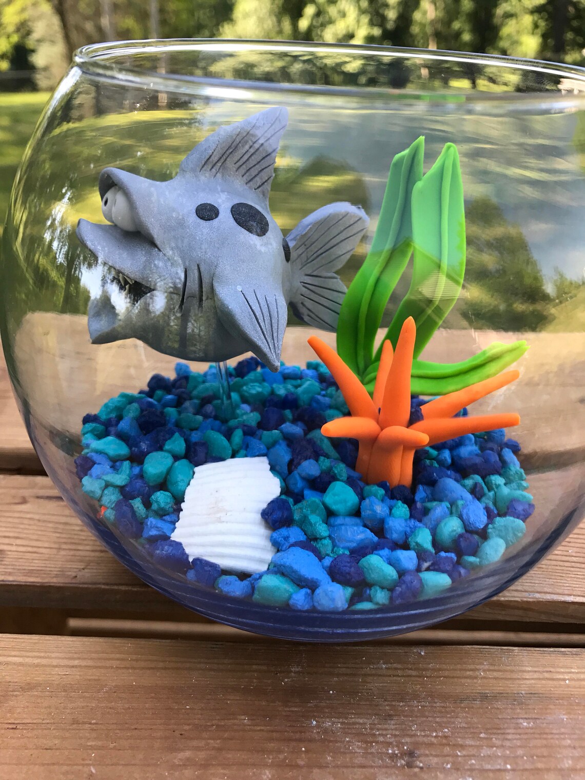 Shark Fish Bowl Shark Tank Shark in Bowl Pet Fish Fish Etsy