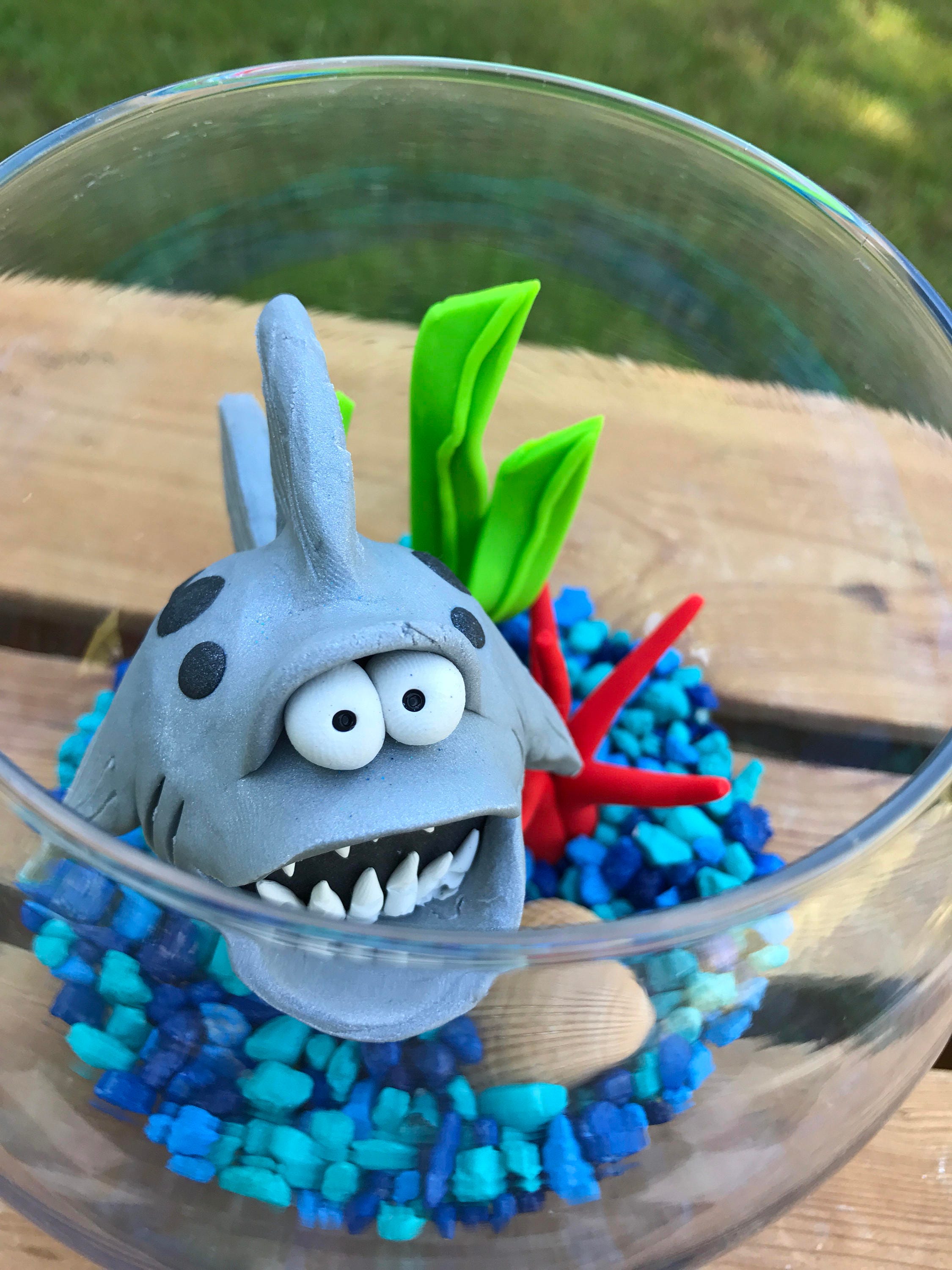 Shark Fish Bowl Shark Tank Shark in Bowl Pet Fish Large Etsy