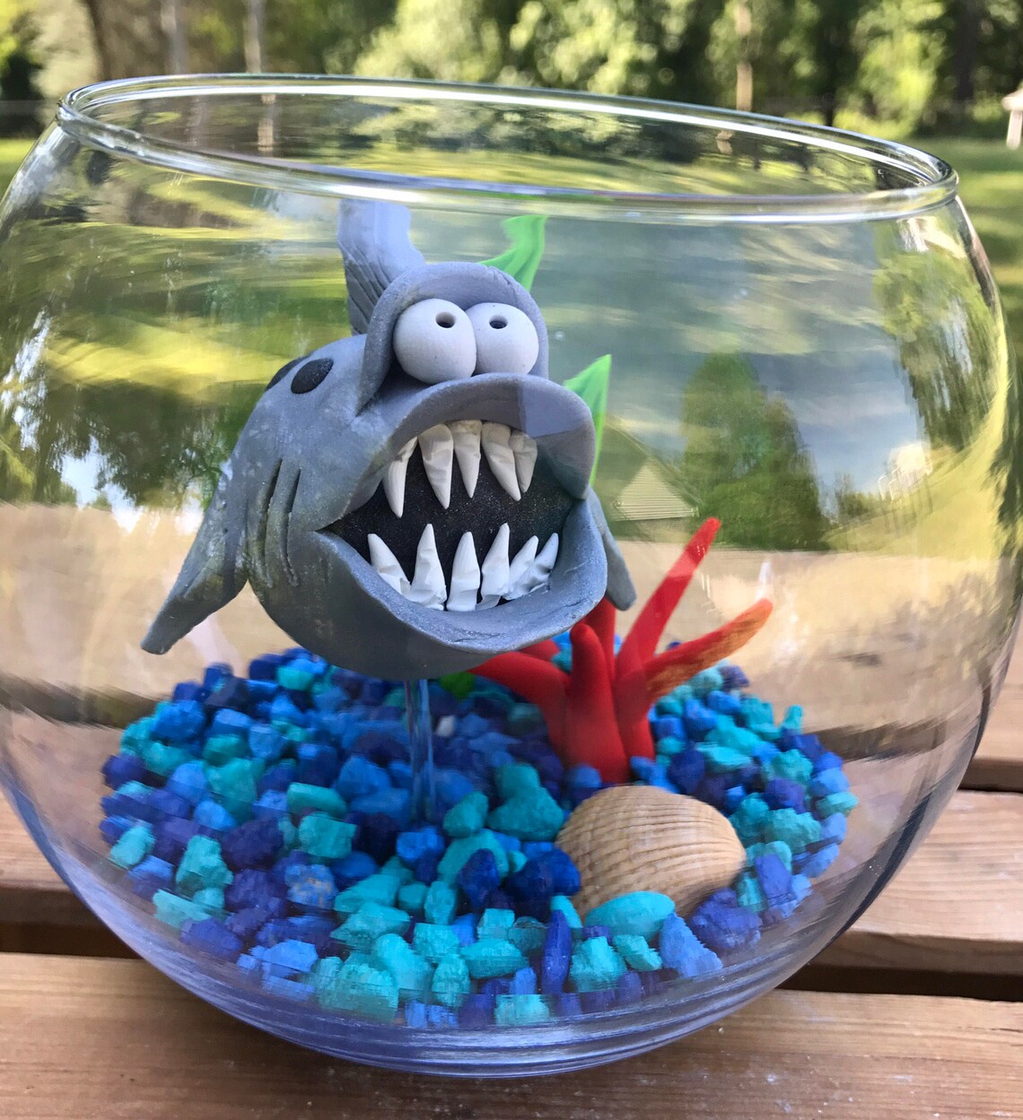 Shark Fish Bowl Shark Tank Shark in Bowl Pet Fish Large Etsy