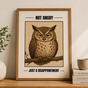 Könnte beinhalten: Gerahmter Druck mit einer detaillierten Illustration einer braunen Eule auf einem Ast. Die Eule hat einen strengen Ausdruck. Der Text oben lautet "NOT ANGRY" und unten "JUST A DISAPPOINTMENT". Das Kunstwerk befindet sich in einem Holzrahmen.