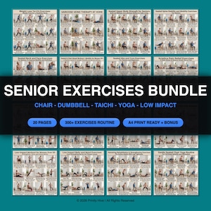 May include: A digital bundle of 20 exercise charts for seniors, featuring over 300 routines including chair, dumbbell, tai chi, yoga, and low-impact movements. The text reads SENIOR EXERCISES BUNDLE, CHAIR - DUMBBELL - TAICHI - YOGA - LOW IMPACT, 20 PAGES, 300+ EXERCISES ROUTINE, A4 PRINT READY + BONUS.