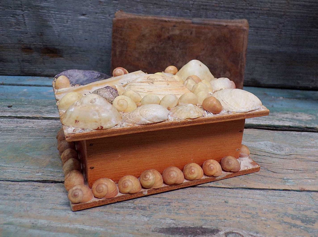 French Collectible Vintage Seashell Souvenir Trinket / Jewelry Etsy