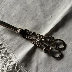 May include: A pair of silver-toned metal sugar tongs featuring an intricate embossed design of leaves and berries along the handles. The tongs have two finger loops at the end and a central hinge, showcasing a detailed floral-inspired texture.