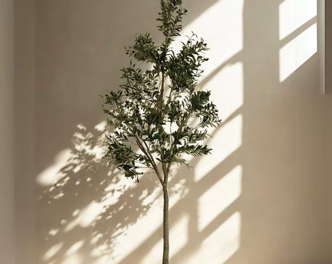 Featured listing image: 8'5" Faux Olive Tree | Indoor Tree | Shady Lady Tree | Olive Tree | Bucida Buceras Tree | Artificial Olive Tree