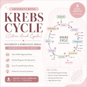 May include: A digital study guide for the Krebs Cycle, also known as the Citric Acid Cycle, featuring a biochemical diagram, molecular pathways, and text labels for a biochemistry module. The document includes study notes and exam-focused points.
