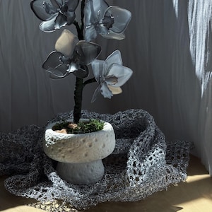 Può includere: Una pianta di orchidea decorativa con petali grigi traslucidi e uno stelo scuro, piantata in un vaso di ceramica bianco, testurizzato e con crateri. La base presenta muschio verde e piccoli ciottoli, il tutto appoggiato su un tessuto a rete argentato.