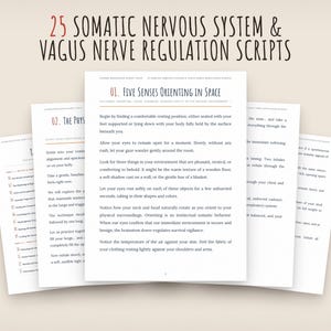 Könnte beinhalten: Eine Sammlung gedruckter Seiten mit dem Titel 25 Somatic Nervous System & Vagus Nerve Regulation Scripts. Die mittlere Seite trägt den Titel 01. Five Senses Orienting in Space und zeigt schwarzen Text auf weißem Papier mit orangefarbenen Akzenten.