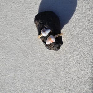 May include: A gold-toned open ring featuring two small, smooth, conical shells at each end. The shells display a gradient of white, tan, and dark brown colors. The ring is positioned on a dark, porous, textured volcanic rock surface.