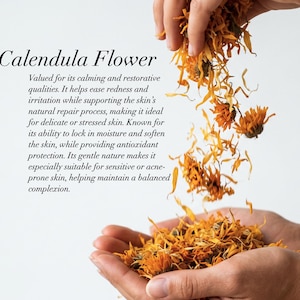 May include: Close-up of hands holding and releasing dried calendula flowers. The image includes the text "Calendula Flower" and a description of its benefits for skin care, including calming and restorative qualities.