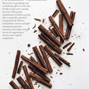 May include: An overhead shot displays several cinnamon sticks and fragments scattered on a white surface. The sticks are a rich brown color, with a textured appearance. The text "Vietnamese Cinnamon" is at the top, with a description below.