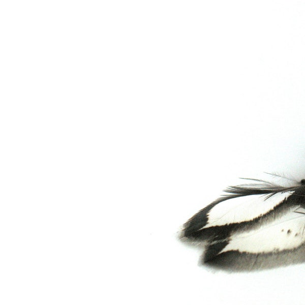 Flo's Feather Earrings, red, black, white, by nancelpancel on etsy