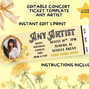 Editable Concert Ticket Template, Customizable Ticket Printable, Digital Download, DIY Custom Concert Ticket, Birthday Surprise Gift