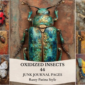 Può includere: Una collezione di 44 pagine di junk journal con insetti ossidati con patina arrugginita. Le immagini mostrano un grande scarabeo verde acqua, una coccinella rossa, una farfalla bianca, una farfalla gialla e blu e altri insetti su sfondi strutturati.