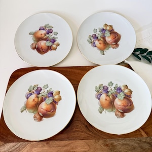 Op de afbeelding: Een set van vier witte keramische borden met goudkleurige randen, elk voorzien van een centrale illustratie van diverse vruchten, waaronder perziken, druiven en noten met groene bladeren, gerangschikt in een tros op elk bord.