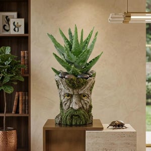 May include: A decorative planter featuring a detailed face design with a green beard and moss accents. The planter holds a vibrant green aloe vera plant, complemented by dark stones. The planter is placed on a brown table.