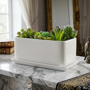 May include: A rectangular white ceramic planter filled with various green succulents. The planter sits on a matching rectangular tray. The arrangement is on a marble surface, with a window and a mirror in the background. A decorative bird statue is on the right.