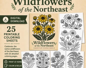 25 Northeastern Wildflower Coloring Pages | Native Plant Botanical Illustrations (Digital Download)