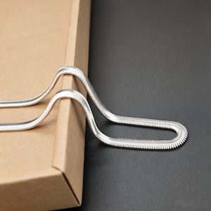 May include: A silver snake chain necklace. The chain has a flat, flexible design with a subtle, textured surface. The necklace is displayed against a brown and black background.