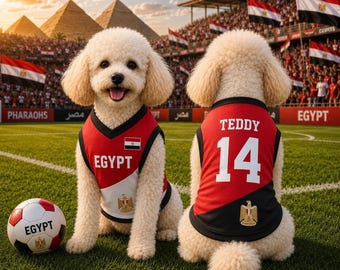 Custom Egypt Dog Soccer Jersey, Soccer Outfit for Dogs Cats, Egyptian Jersey Shirt Name Number, Cute Puppy Sportswear