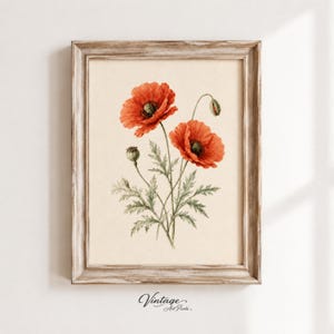 Peut inclure: Une impression d'art botanique encadrée représentant deux fleurs de coquelicot rouge vif avec des tiges vertes et des feuilles dentelées sur un fond crème. L'œuvre est insérée dans un cadre en bois brun clair avec une texture de grain visible.