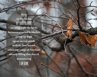 Forest Inspirational Poem, Fine Art Photography, Woodland Poem, Unique Nature Print, Typography, Wilderness, Nature Poetry, Wall Art