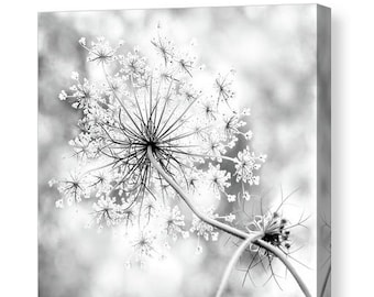 Flower Canvas Gallery Wrap, Queen Anne's Lace, Unique Home and Office Decor, Feminine, Black and White Canvas Wall Art, Modern Rustic
