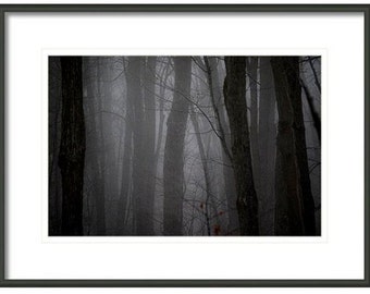 Forest Print, Tree Wall Art, Black and White, Home Decor, Unique Wall Art, Modern Rustic Decor, Statement Art