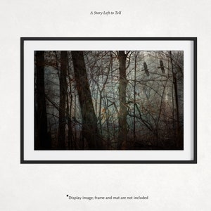 Crow, Crow Art, Fine Art Photography, Home Decor Print, Bird Wall Art, Unique and Mysterious Print, Dark Forest, Flying Crows