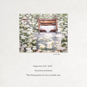 May include: A vintage wooden washing machine with the words "Anchor Brand" on the side, sitting in a galvanized metal tub surrounded by white flowers.
